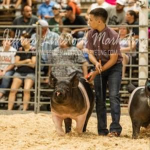 Meet your Posher, Cade